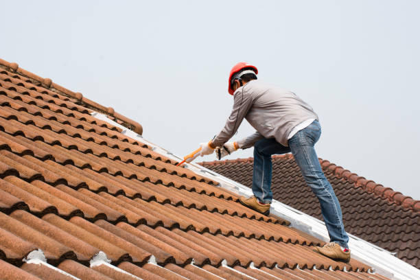 Best Roof Maintenance and Cleaning  in Moses Lake North, WA
